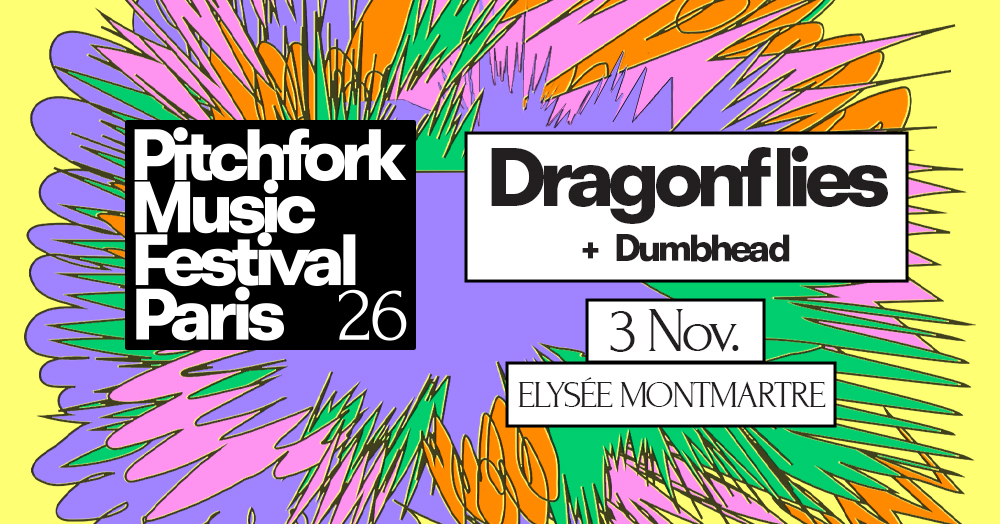 dragonflies-dumbhead-elysee-montmartre